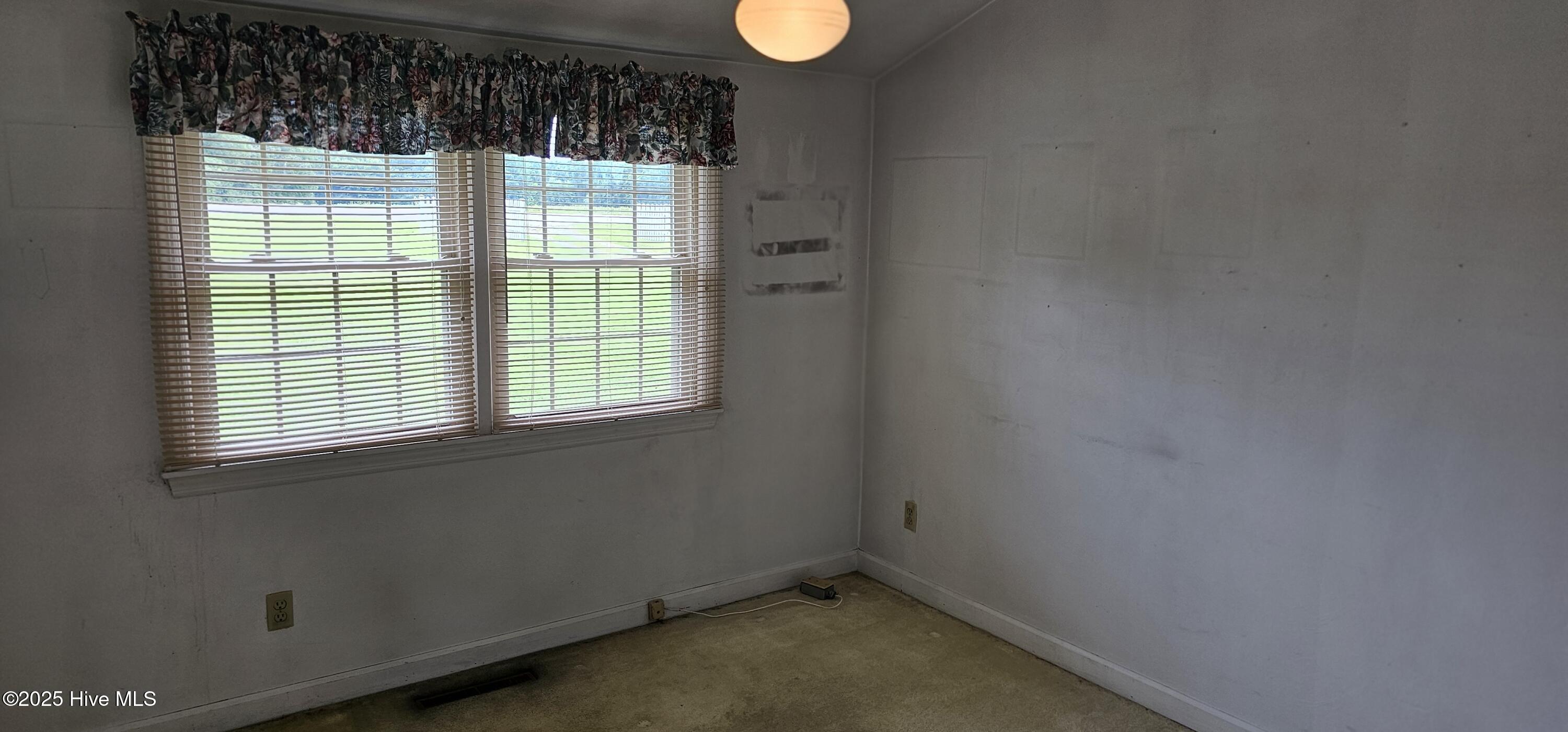 8737 Highway 158 Seaboard, NC 27876 - Photo 19 of 30 20250813_123147