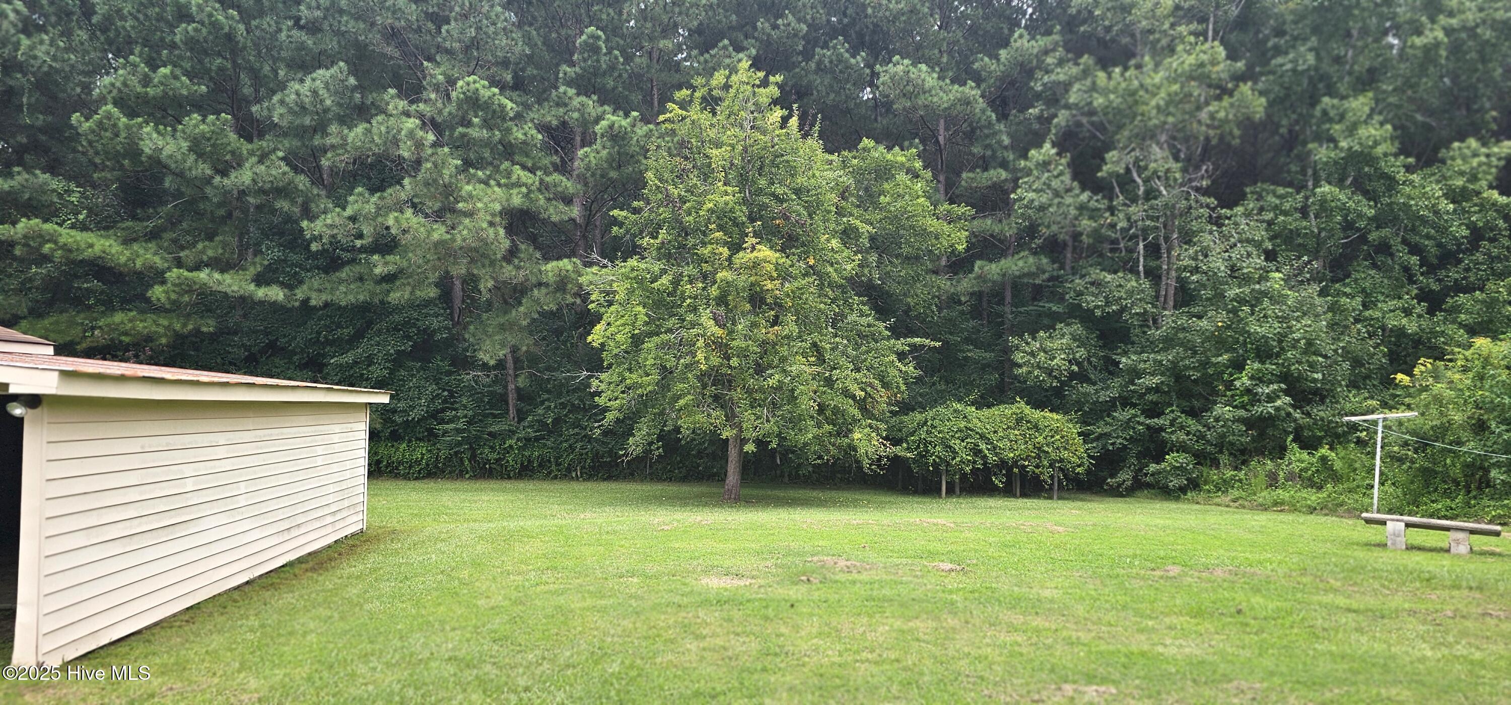 8737 Highway 158 Seaboard, NC 27876 - Photo 24 of 30 20250813_123446