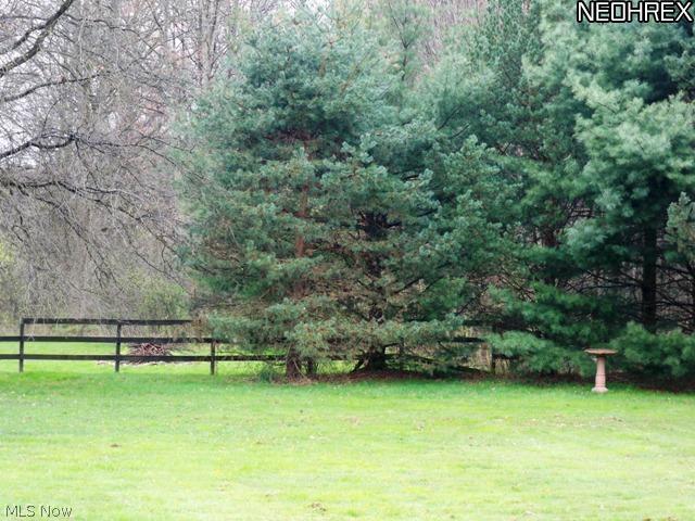 6421 Peck Road Ravenna, OH 44266 - Photo 15 of 15 Views of the wooded semi fenced back yard.