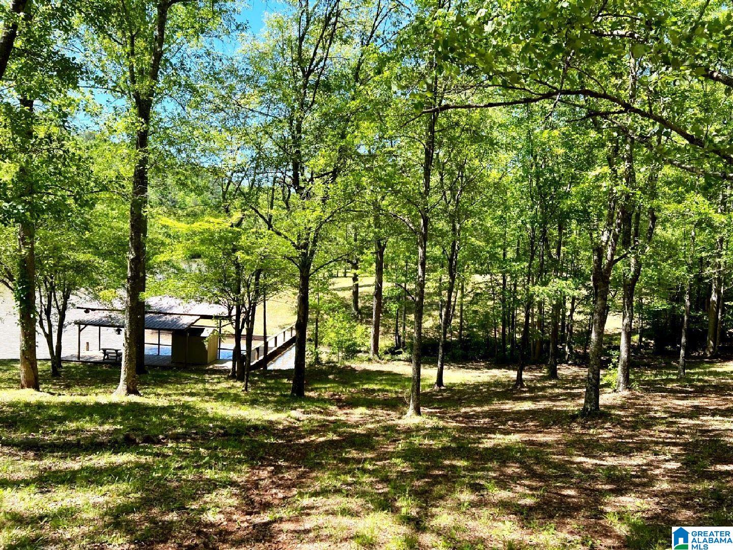 244 County Road 2011 Delta, AL 36258 - Photo 11 of 29
