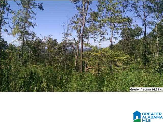 0 Beaver Ridge Drive, Unit 42 48 Ashville, AL 35953 - Photo 20 of 26
