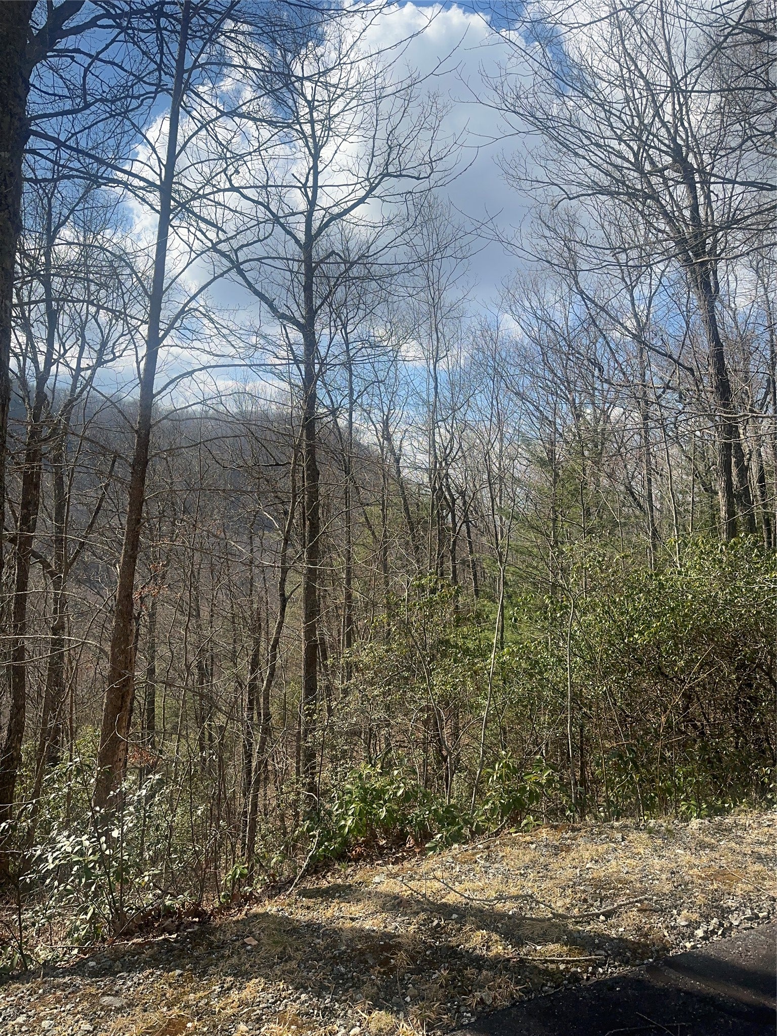 Lot 3 Ridgemont Drive Tuckasegee, NC 28783 - Photo 1 of 6 house site NW
