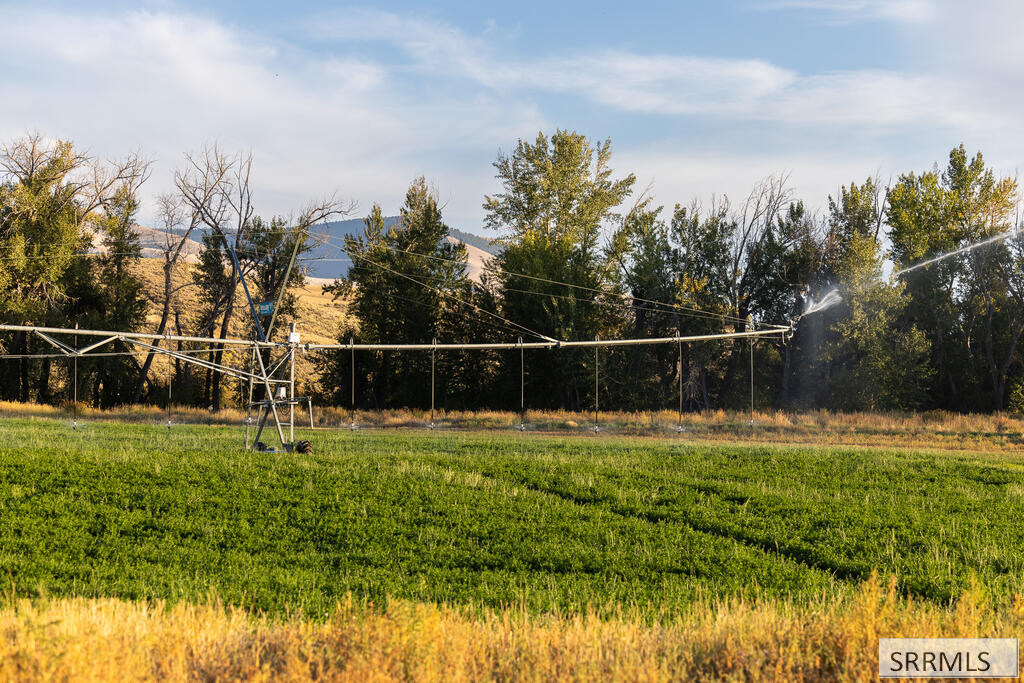 1705 Lemhi Road Salmon, ID 83467 - Photo 54 of 149 Gallery Image 54