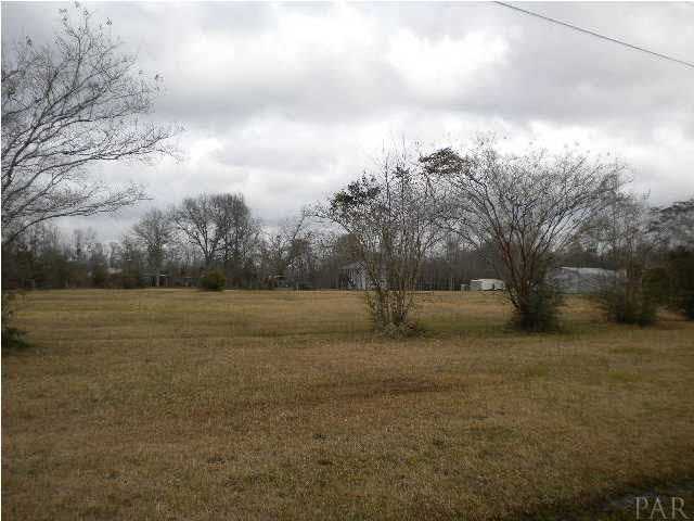 6510 River Bend Road Molino, FL 32577 - Photo 4 of 24 This is a view of the home and land from River Bend Rd. There is a mound septic system on the front of the property that could be used for another home.