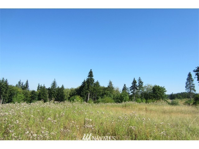 20 Silver Ridge Castle Rock, WA 98611 - Photo 1 of 1 Gallery Image 1