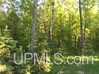 Tbd Maggie Point Road, Unit 11E Crystal Falls, MI 49920 - Photo 13 of 13