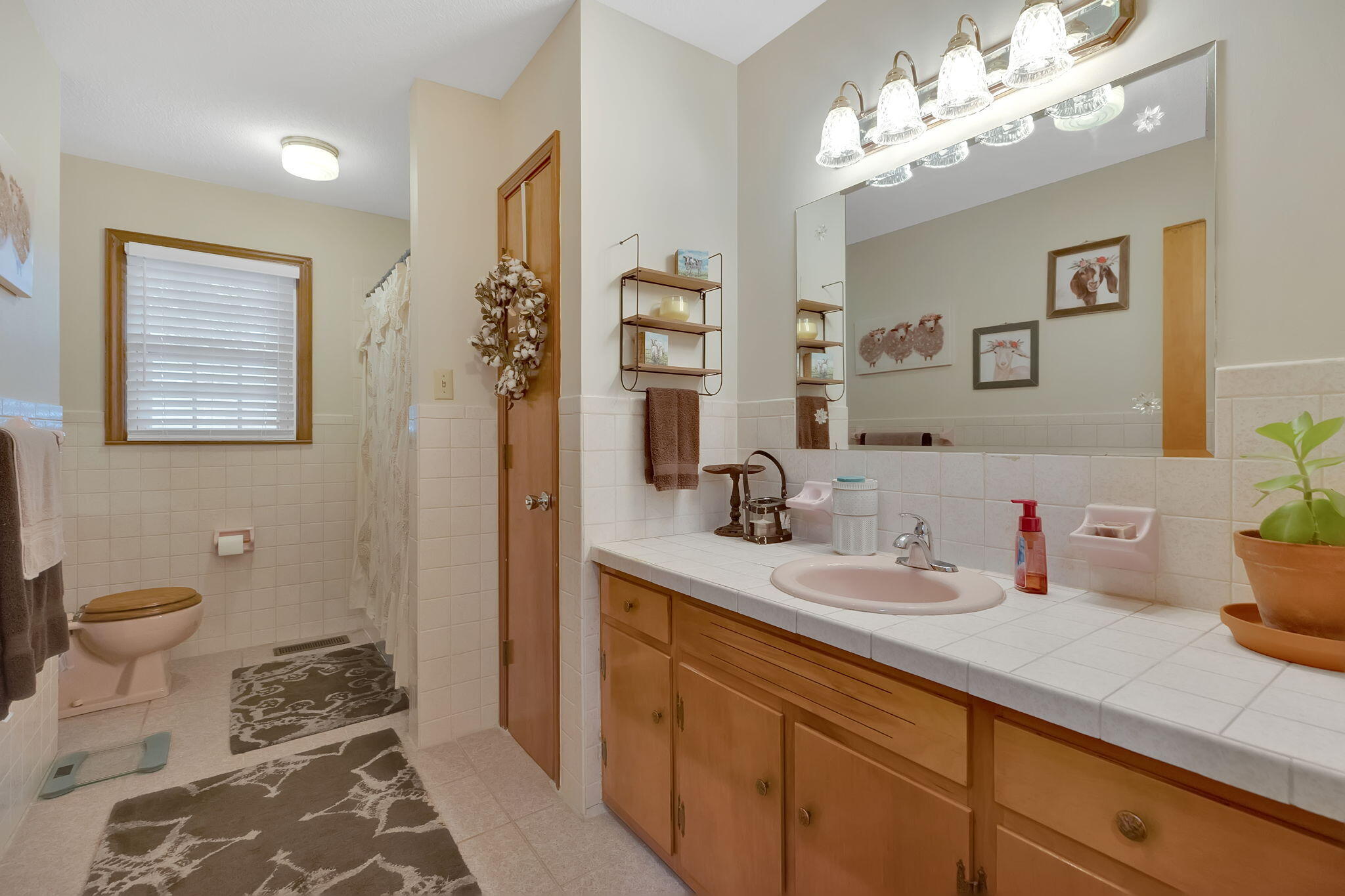 255 Beaver Road Bluff City, TN 37618 - Photo 14 of 28 10-web-or-mls-217A9117
