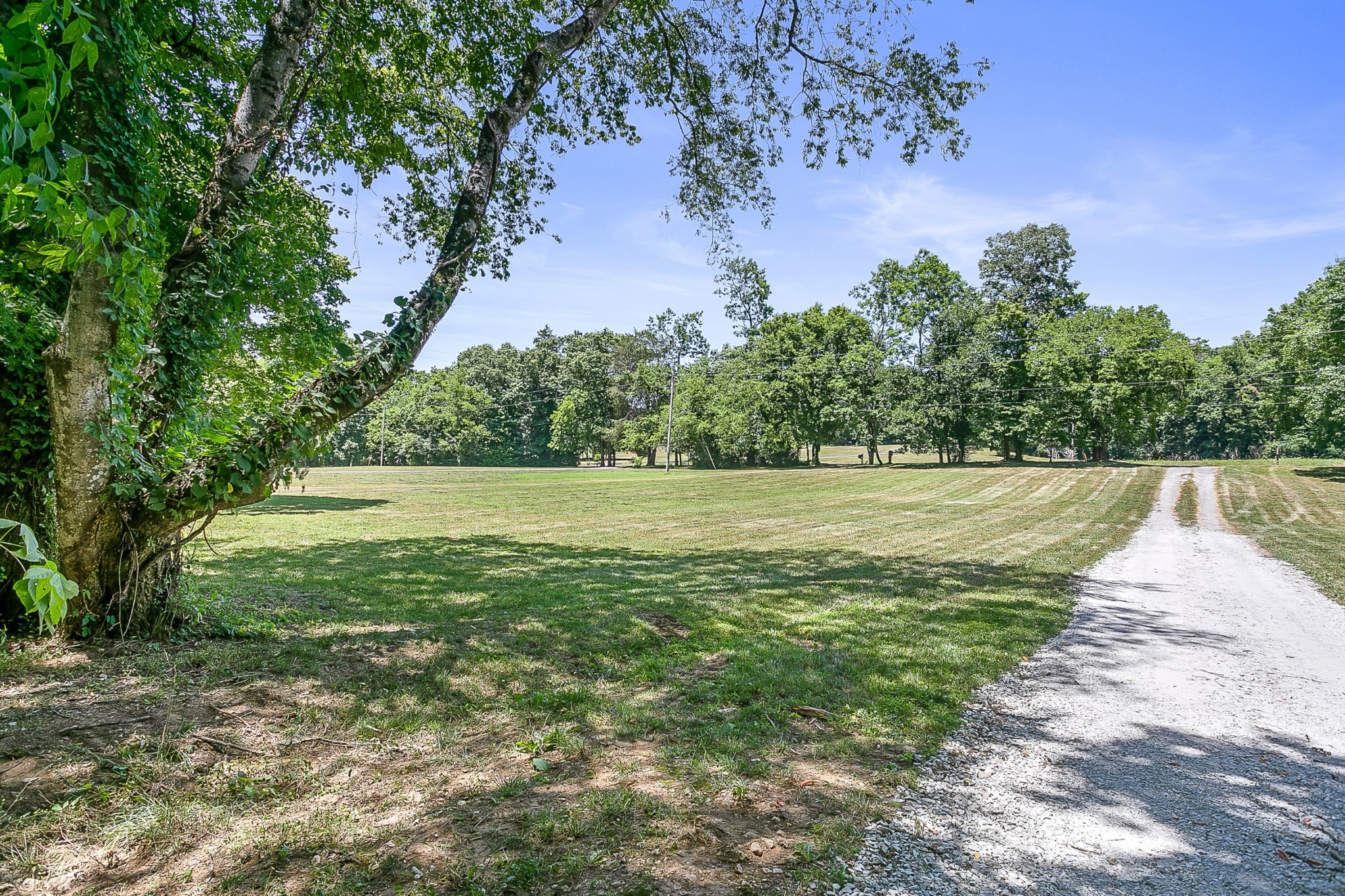 1441 Center Star Road Columbia, TN 38401 - Photo 51 of 62 a view of a yard with a tree