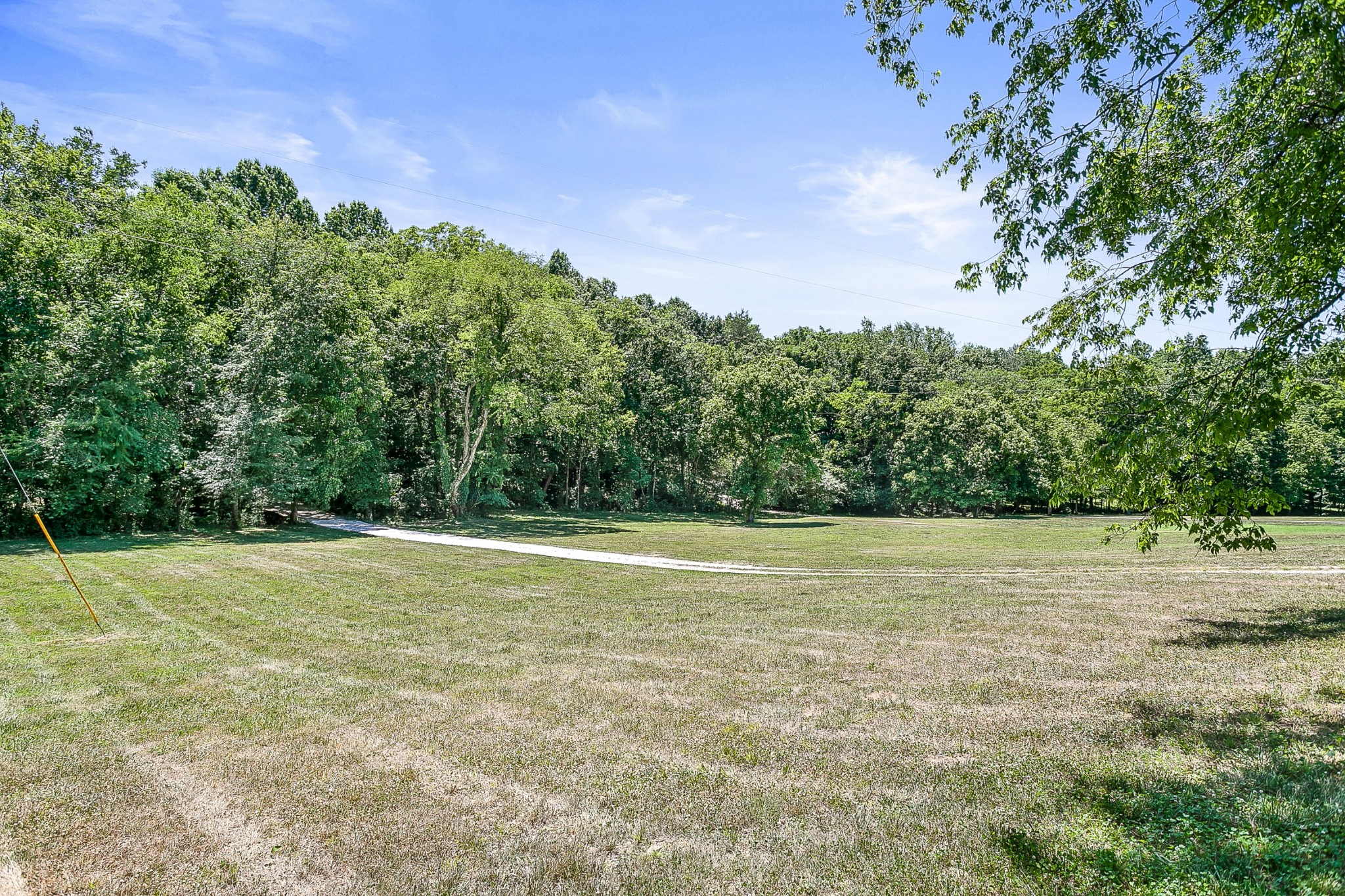 1441 Center Star Road Columbia, TN 38401 - Photo 53 of 62 a view of a field with an trees