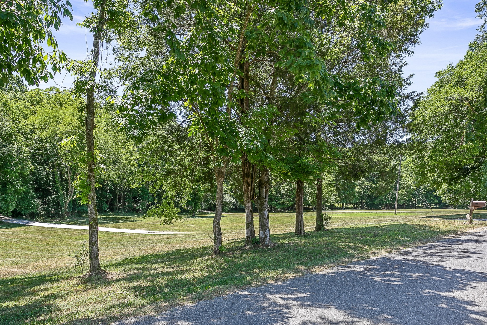 1441 Center Star Road Columbia, TN 38401 - Photo 54 of 62 a view of a tree in a yard