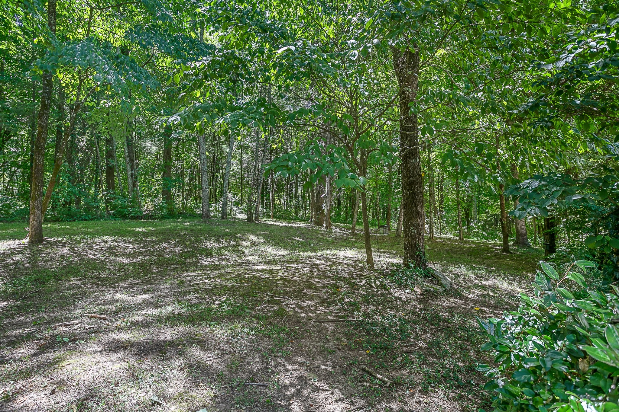 1441 Center Star Road Columbia, TN 38401 - Photo 58 of 62 a view of outdoor space with green space