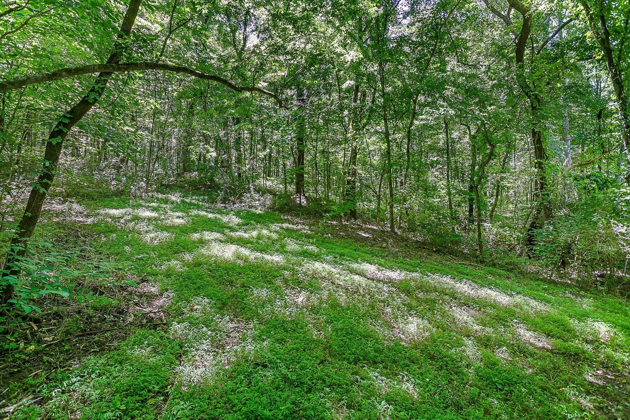 1441 Center Star Road Columbia, TN 38401 - Photo 61 of 62