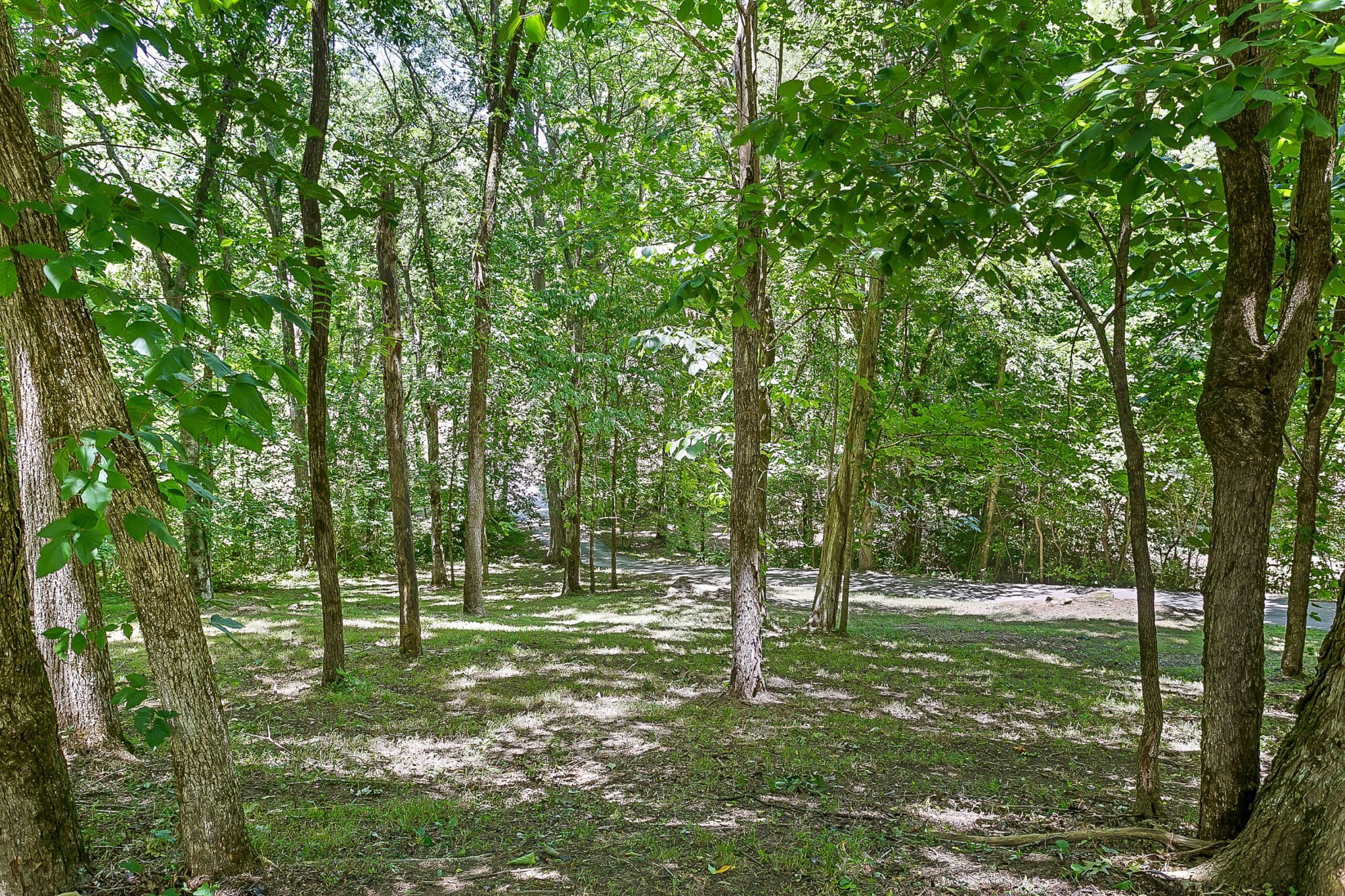 1441 Center Star Road Columbia, TN 38401 - Photo 62 of 62