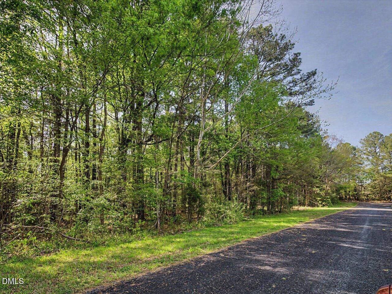 0 Lula Klass Road Goldston, NC 27252 - Photo 14 of 18 a view of a yard with a tree