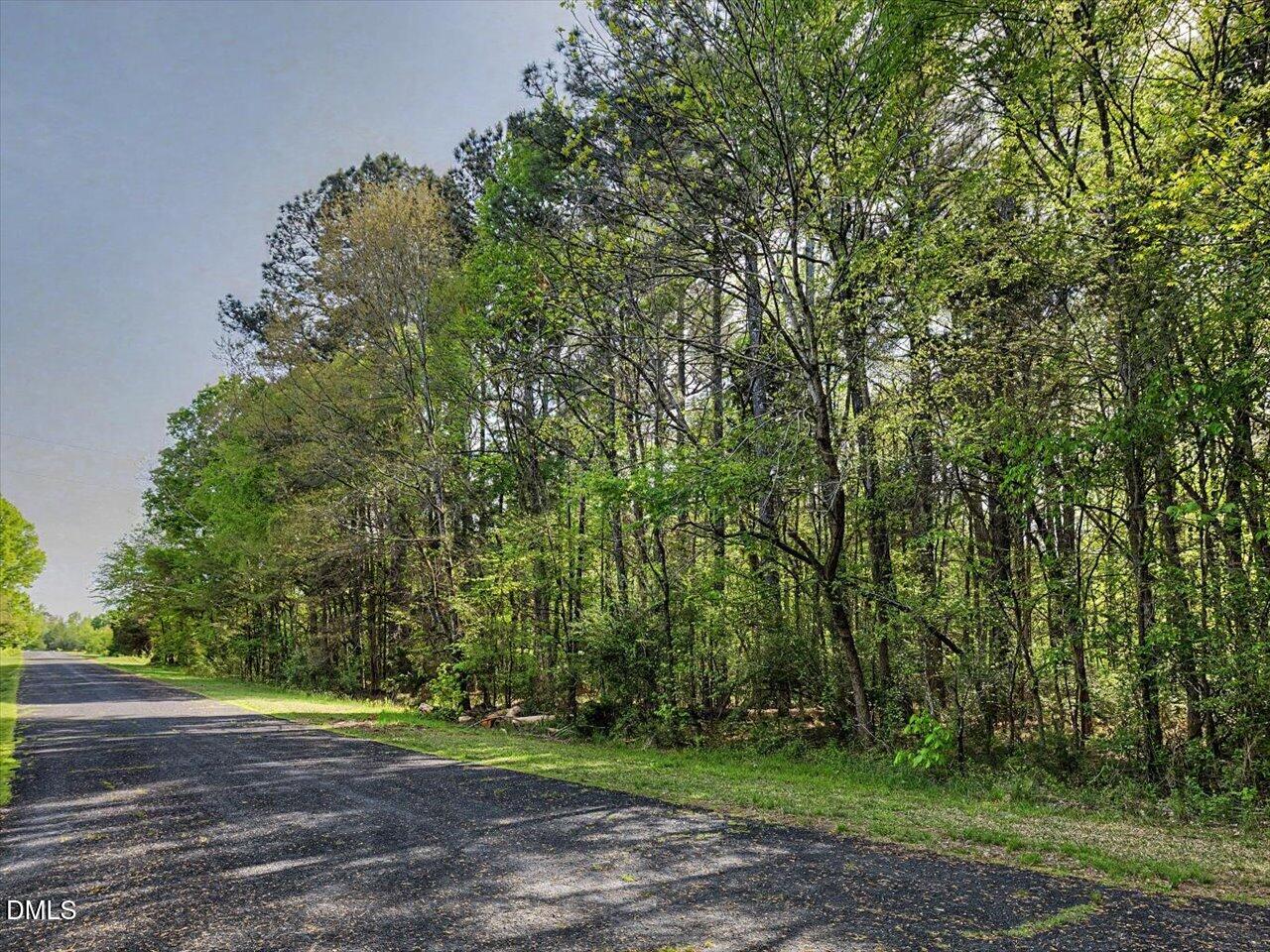 0 Lula Klass Road Goldston, NC 27252 - Photo 15 of 18 a view of a basketball court