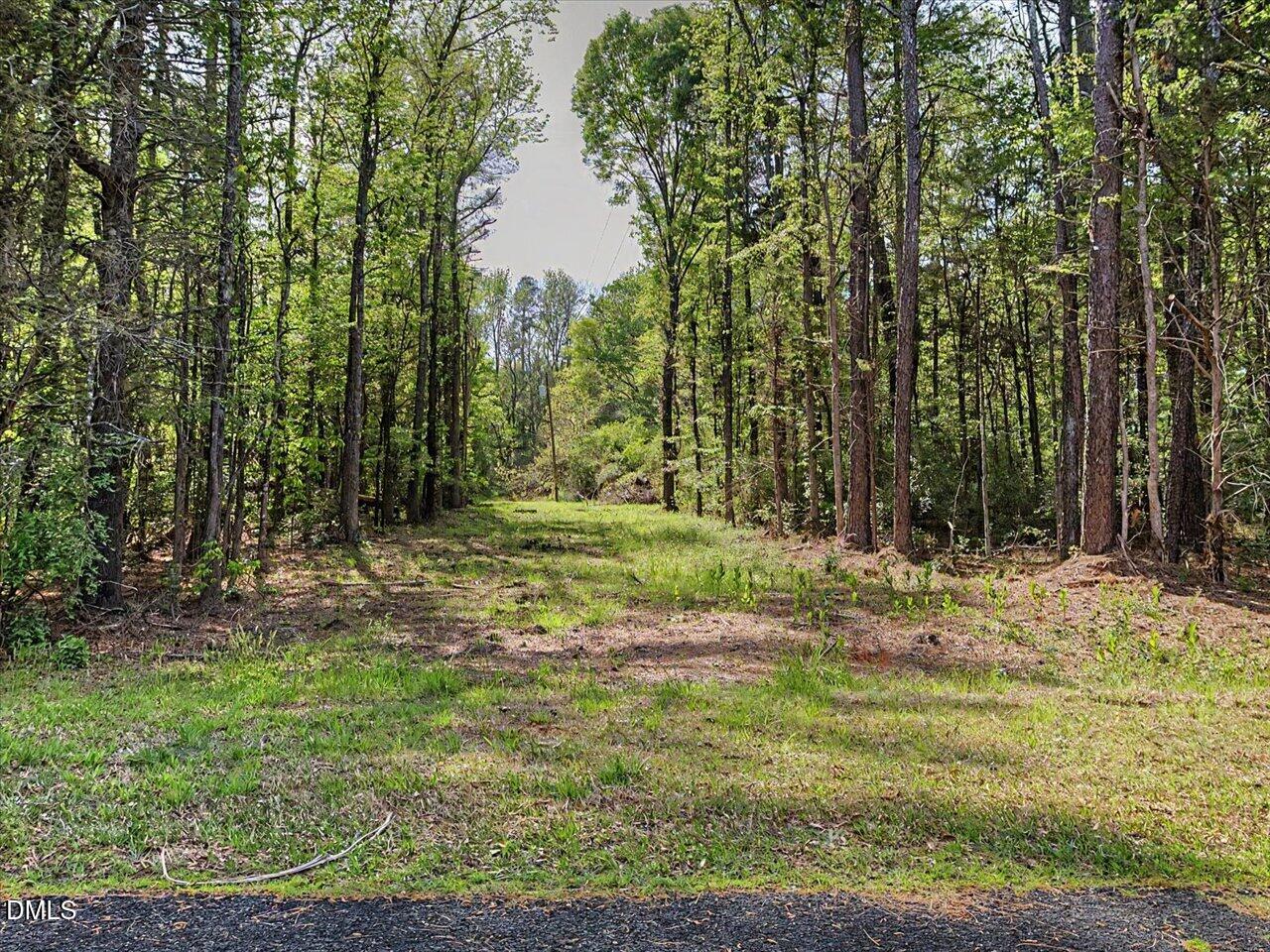 0 Lula Klass Road Goldston, NC 27252 - Photo 16 of 18 a backyard of a house with large trees