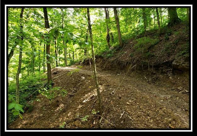 0 Pedigo Ridge Road, Unit TRACT 6) Nelsonville, OH 45764 - Photo 41 of 57 image041