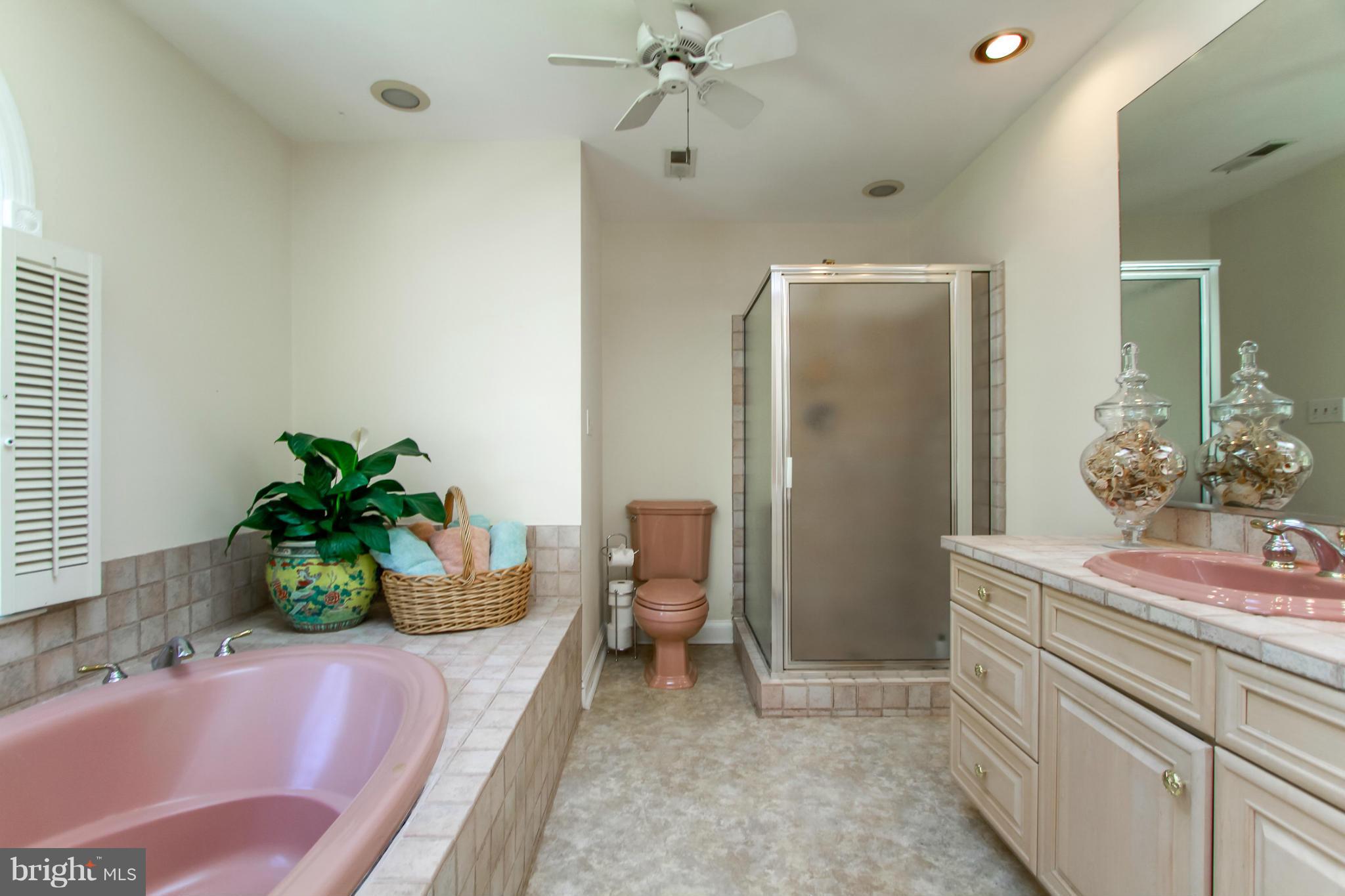 18 Linstead Road Severna Park, MD 21146 - Photo 18 of 30 Bath (Master)