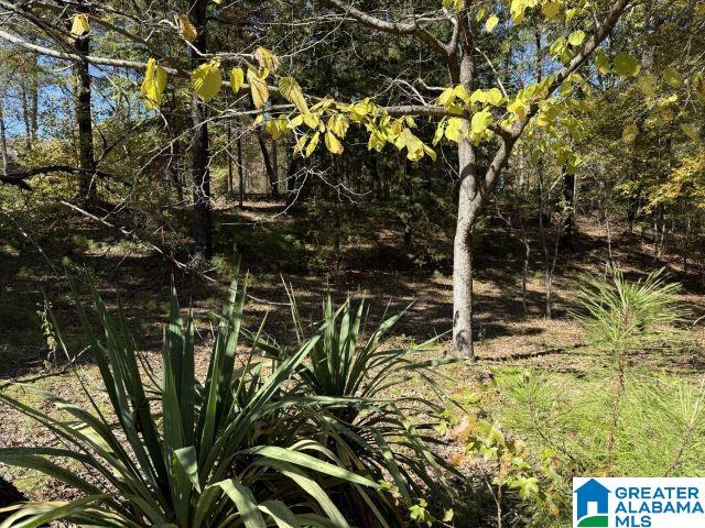 655 Buddy Vines Camp Road, Unit 1 Bessemer, AL 35023 - Photo 7 of 9