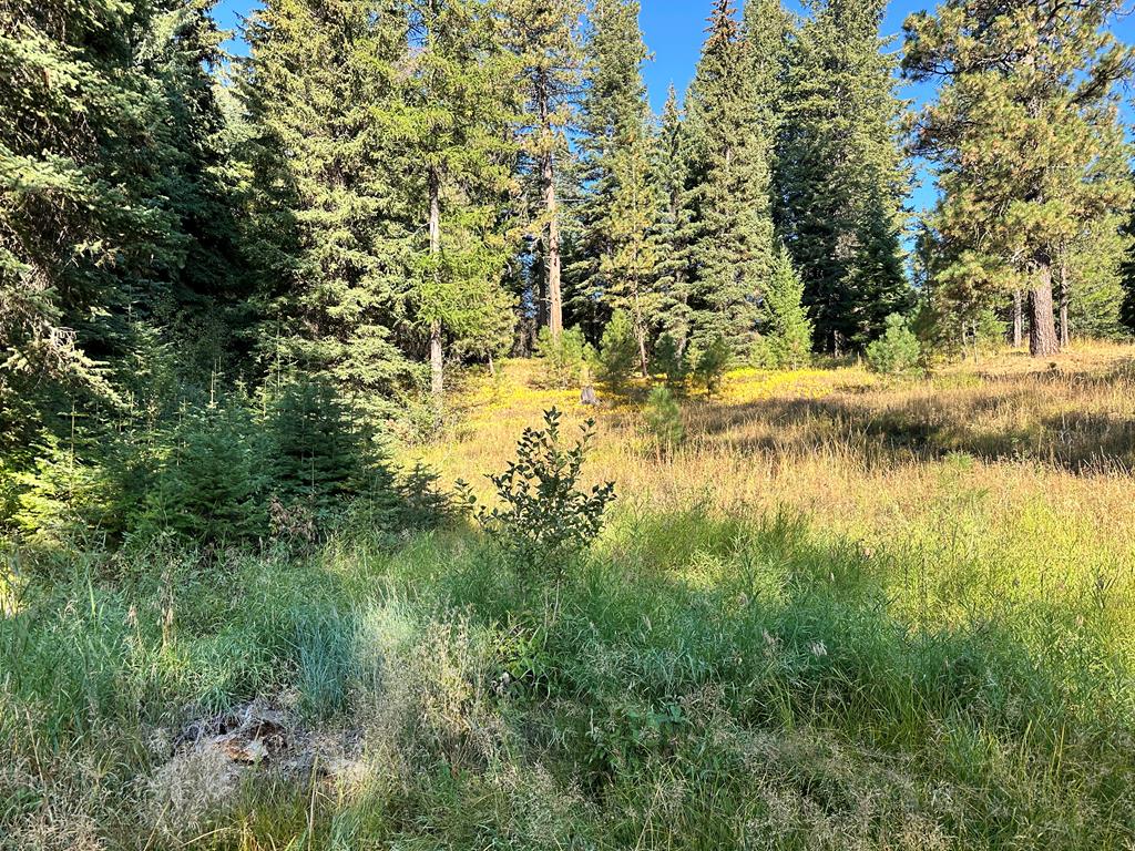 2195 Davy Road, Unit 83 Donnelly, ID 83615 - Photo 1 of 11 Main View