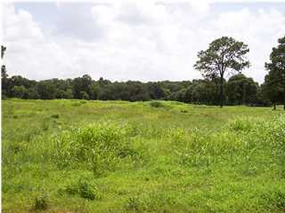 710 Cemetery Road St. Martinville, LA 70582 - Photo 1 of 1 Primary Photo