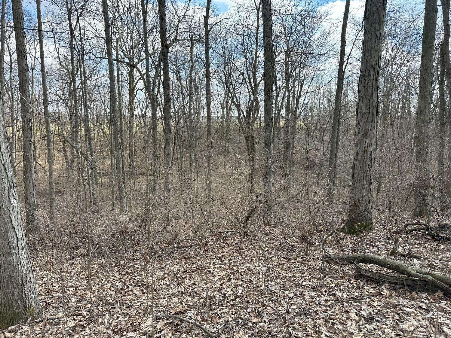 0 Wilson Road Winchester, OH 45697 - Photo 17 of 69