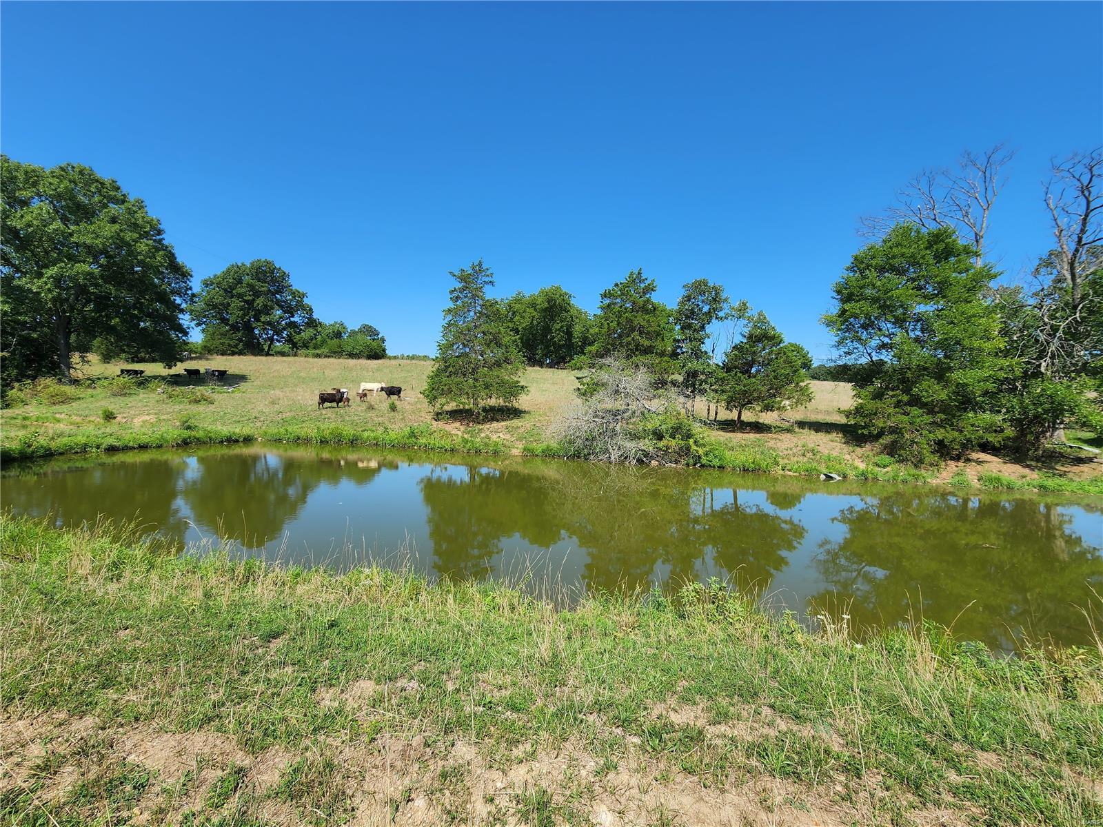 0 Baty/casey Road Graff, MO 65660 - Photo 1 of 27