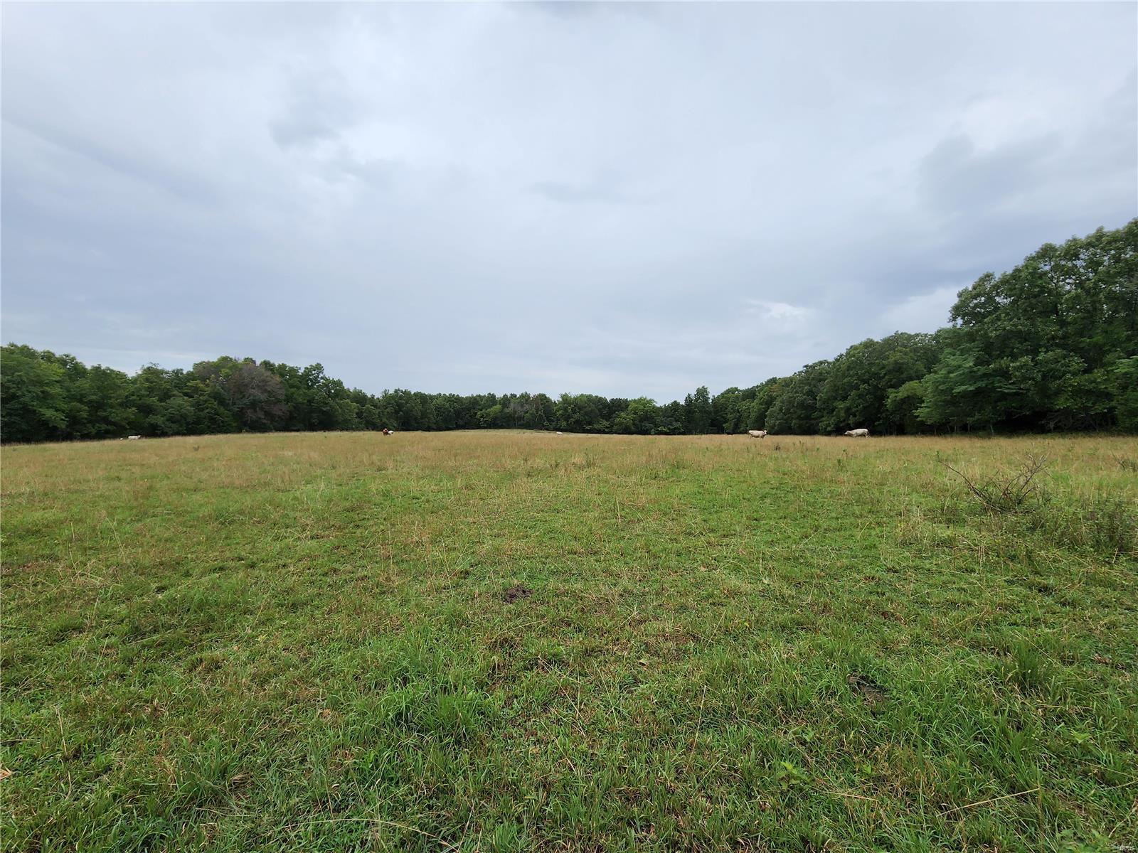 0 Baty/casey Road Graff, MO 65660 - Photo 13 of 27