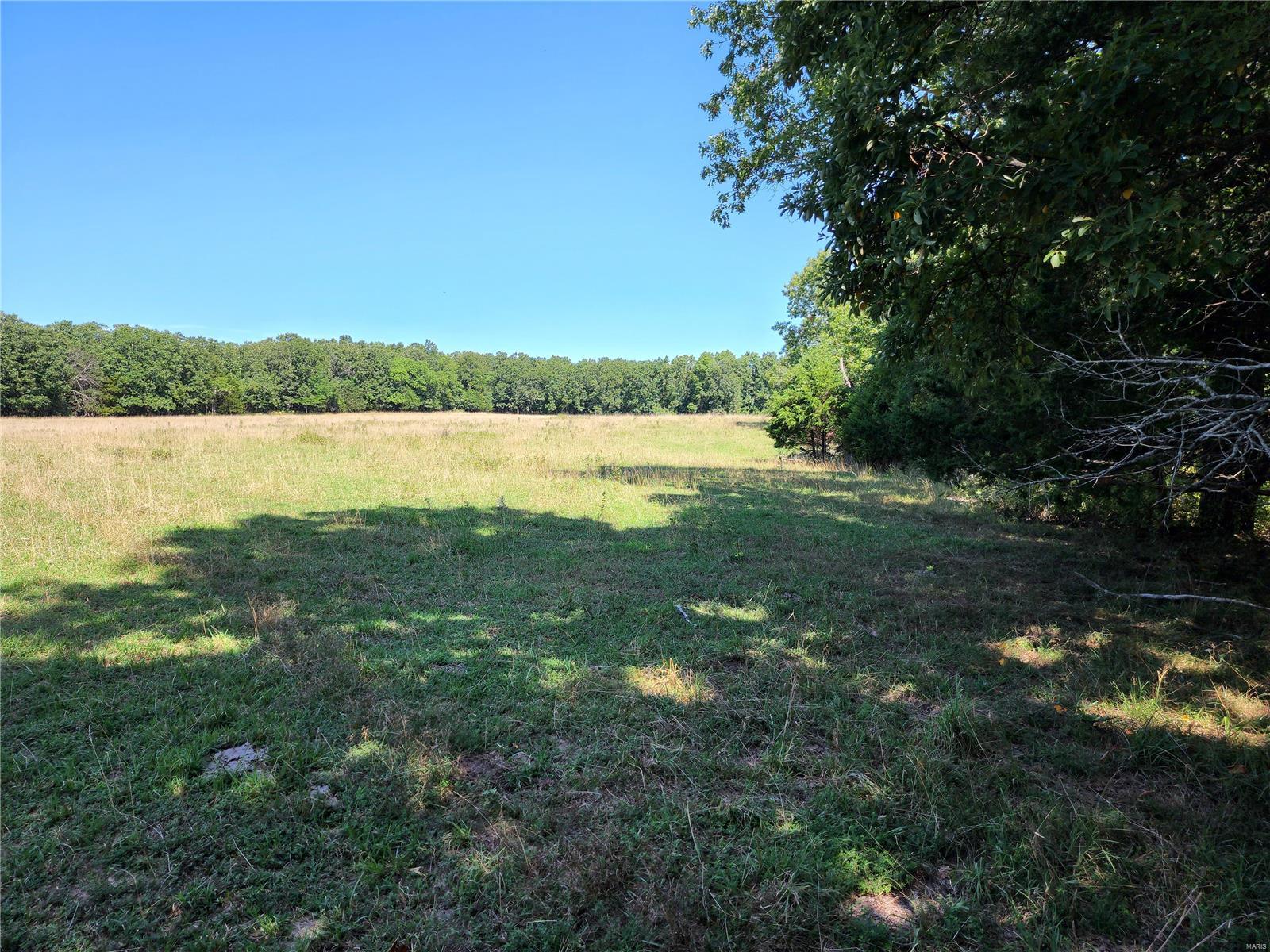 0 Baty/casey Road Graff, MO 65660 - Photo 14 of 27