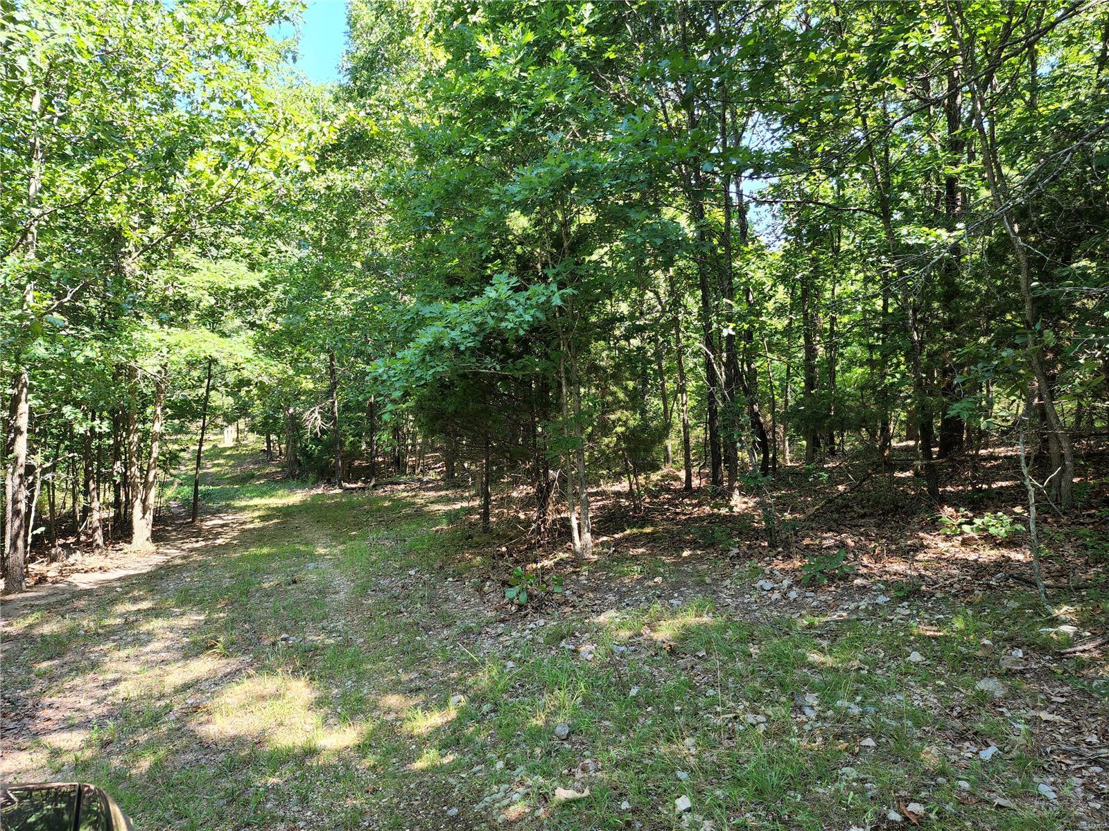 0 Baty/casey Road Graff, MO 65660 - Photo 16 of 27