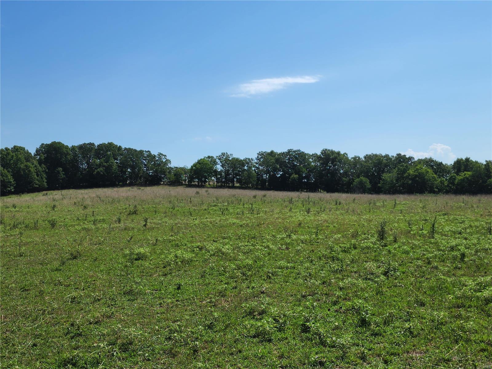 0 Baty/casey Road Graff, MO 65660 - Photo 17 of 27