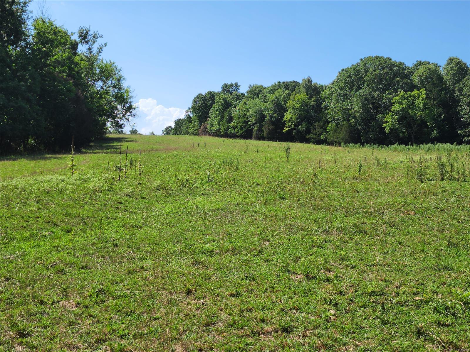 0 Baty/casey Road Graff, MO 65660 - Photo 18 of 27