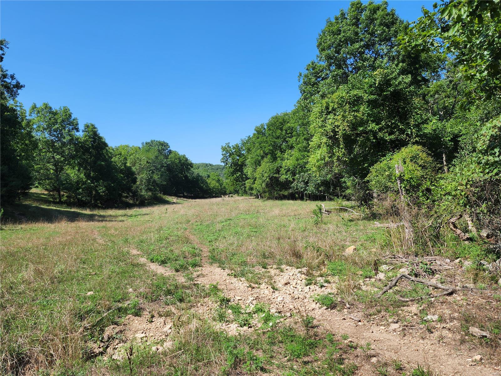 0 Baty/casey Road Graff, MO 65660 - Photo 21 of 27