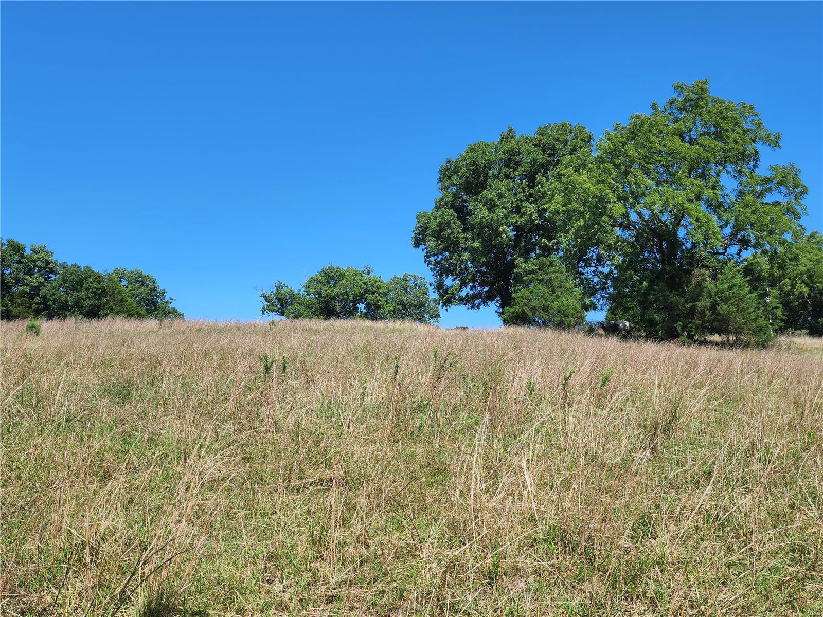 0 Baty/casey Road Graff, MO 65660 - Photo 22 of 27