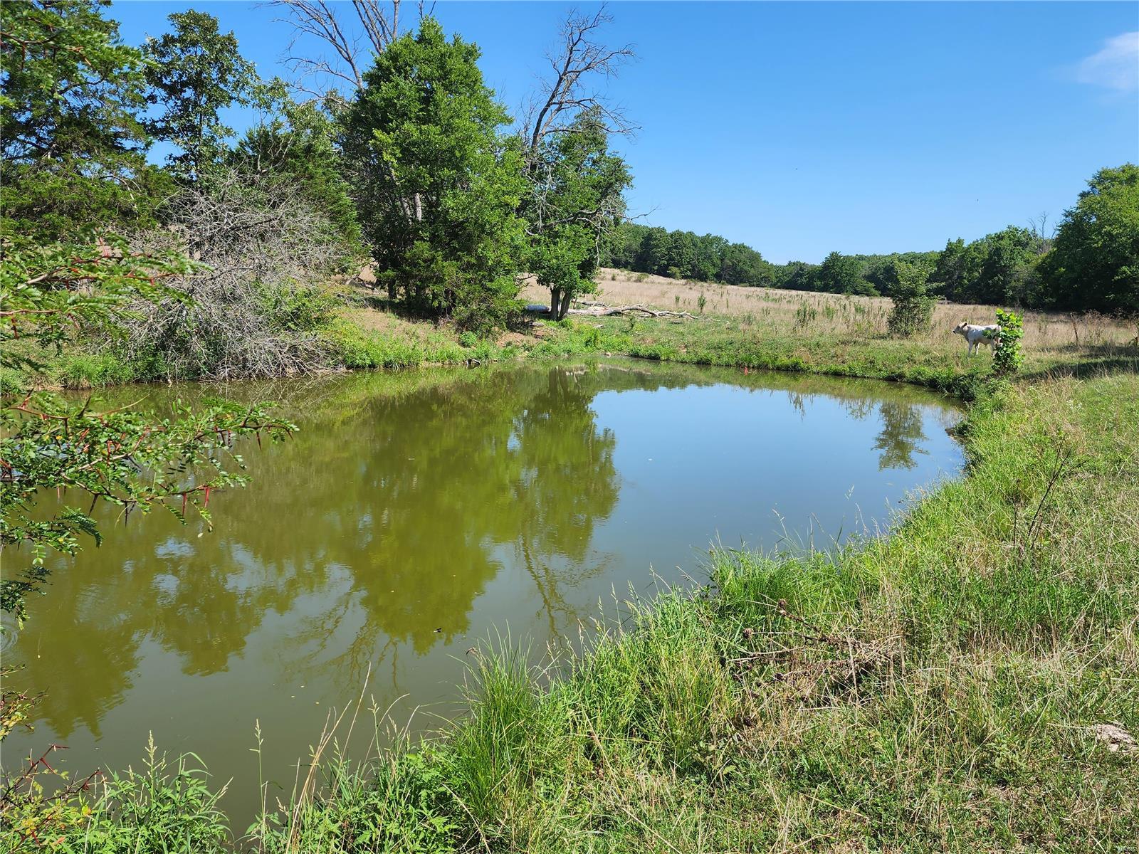 0 Baty/casey Road Graff, MO 65660 - Photo 23 of 27