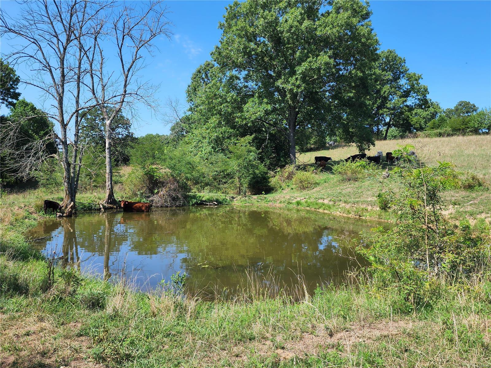 0 Baty/casey Road Graff, MO 65660 - Photo 24 of 27