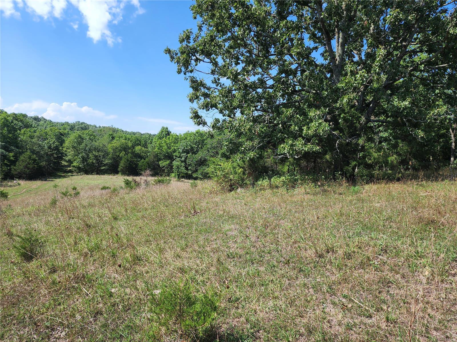 0 Baty/casey Road Graff, MO 65660 - Photo 26 of 27