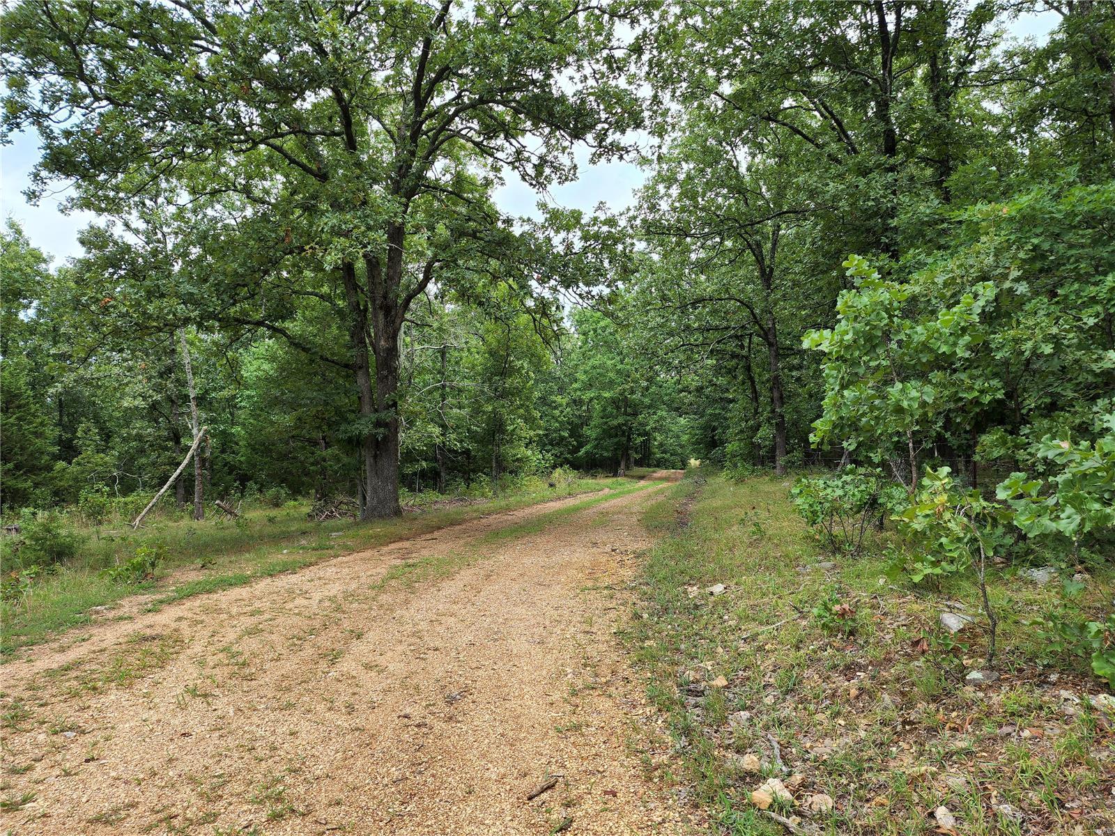 0 Baty/casey Road Graff, MO 65660 - Photo 27 of 27
