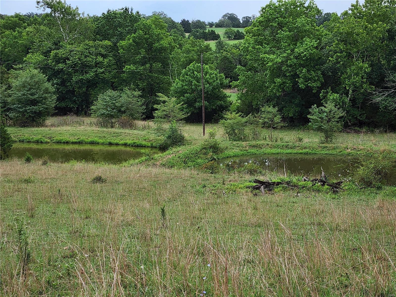 0 Baty/casey Road Graff, MO 65660 - Photo 3 of 27
