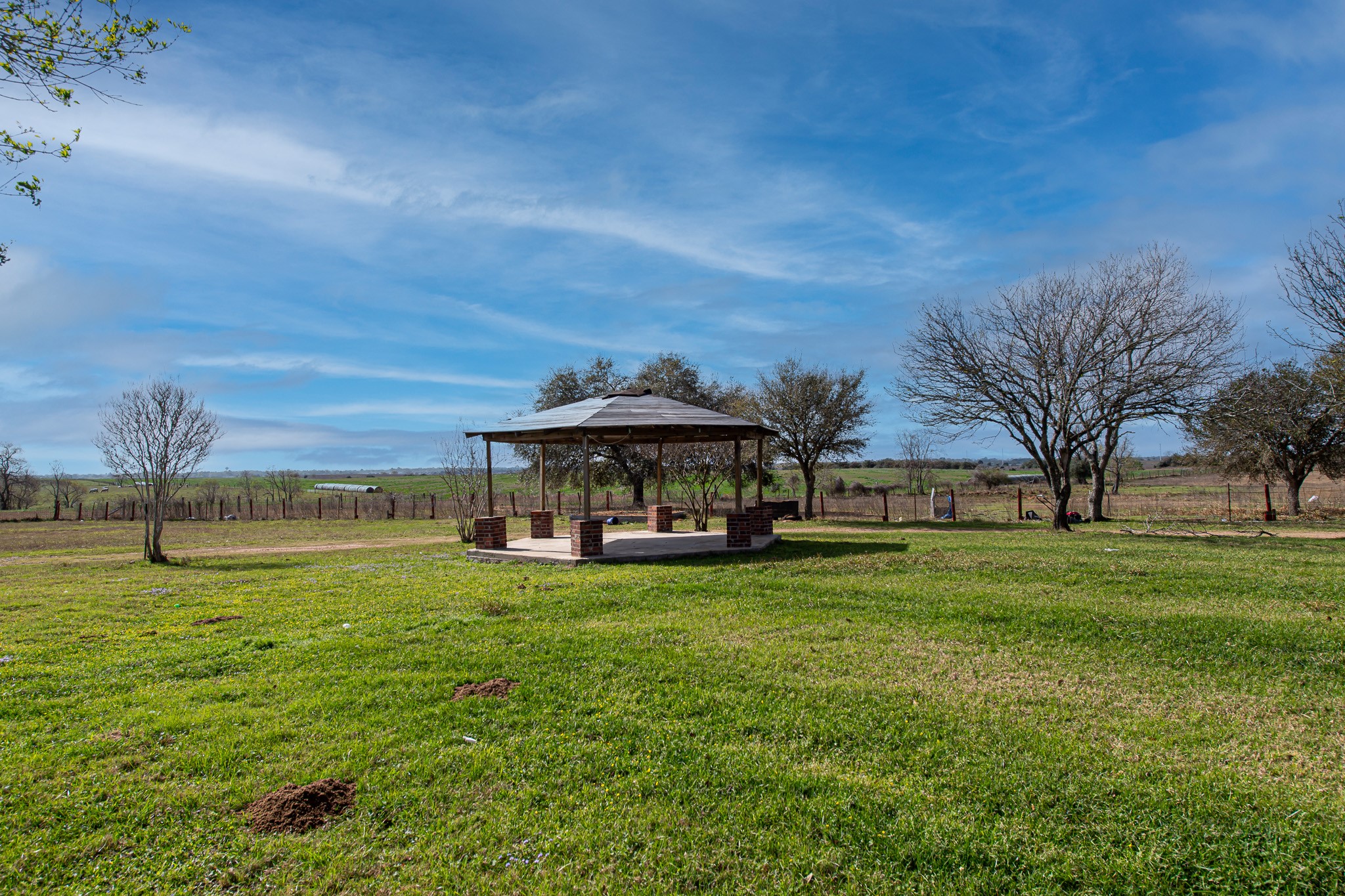 1195 Sens Road Sealy, TX 77474 - Photo 14 of 50 a view of a house with a big yard