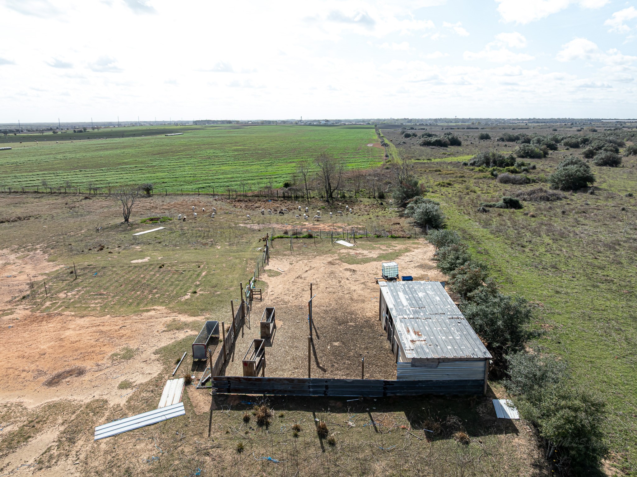 1195 Sens Road Sealy, TX 77474 - Photo 47 of 50 a view of a yard with wooden fence