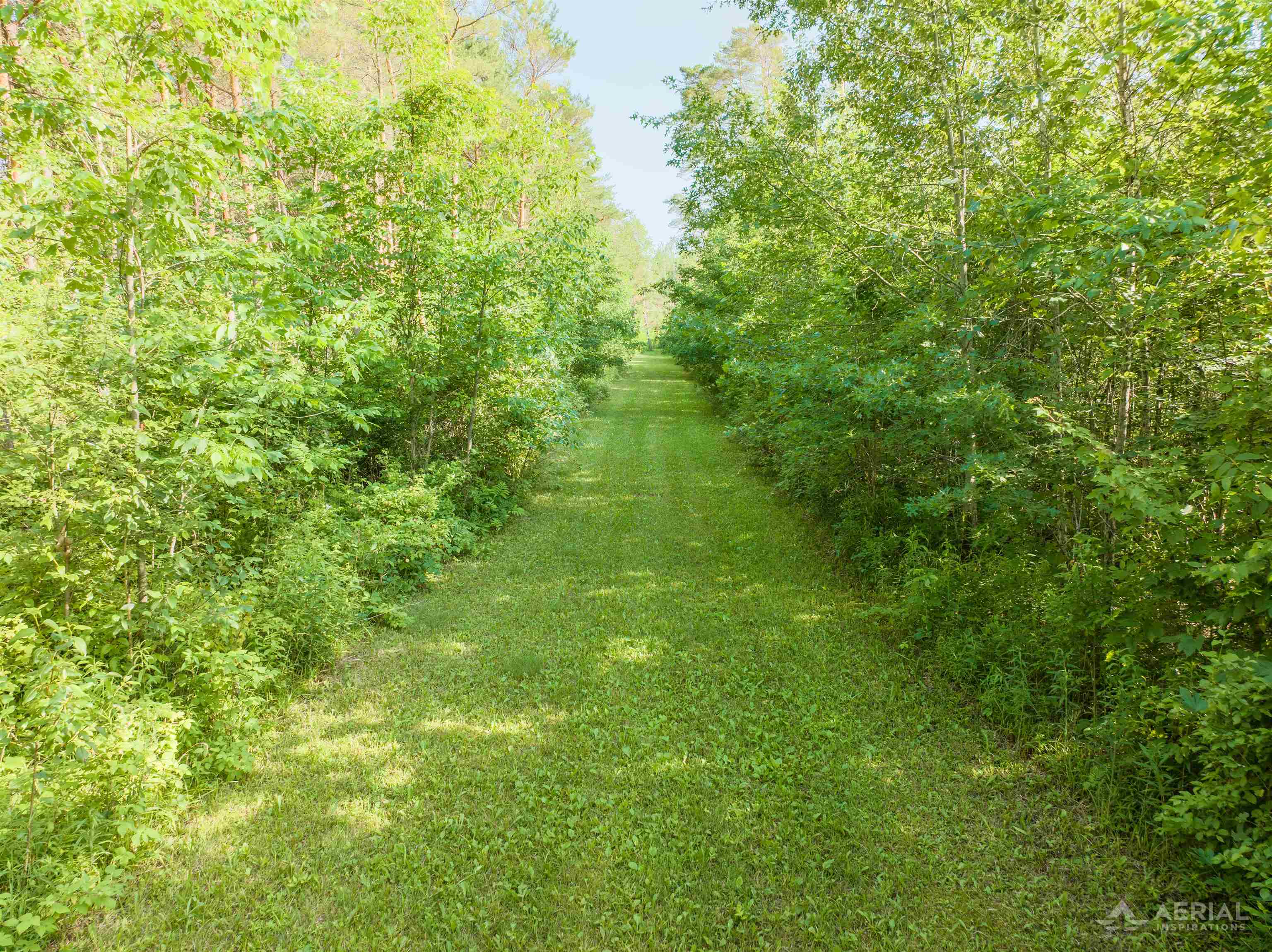 2882 School Road Alger, MI 48610 - Photo 15 of 35