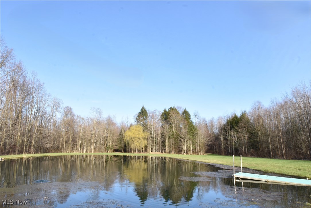 1212 Lewis Road Pierpont, OH 44082 - Photo 13 of 49 Gallery Image 13