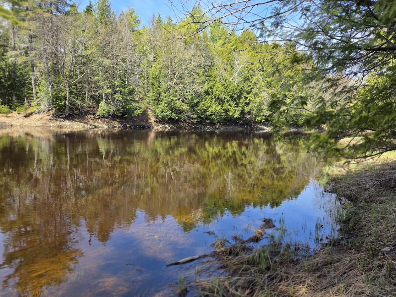 L2 Us Rt 2 Kingman, ME 04451 - Photo 8 of 18 20260513_111641