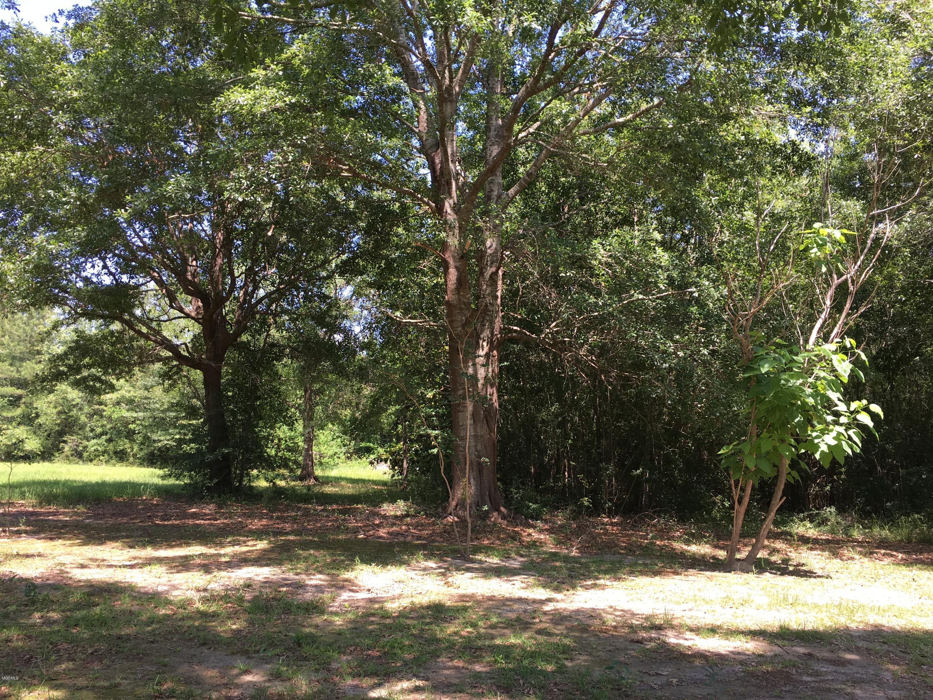 15576 Three Rivers Road Biloxi, MS 39532 - Photo 6 of 38 wooded area