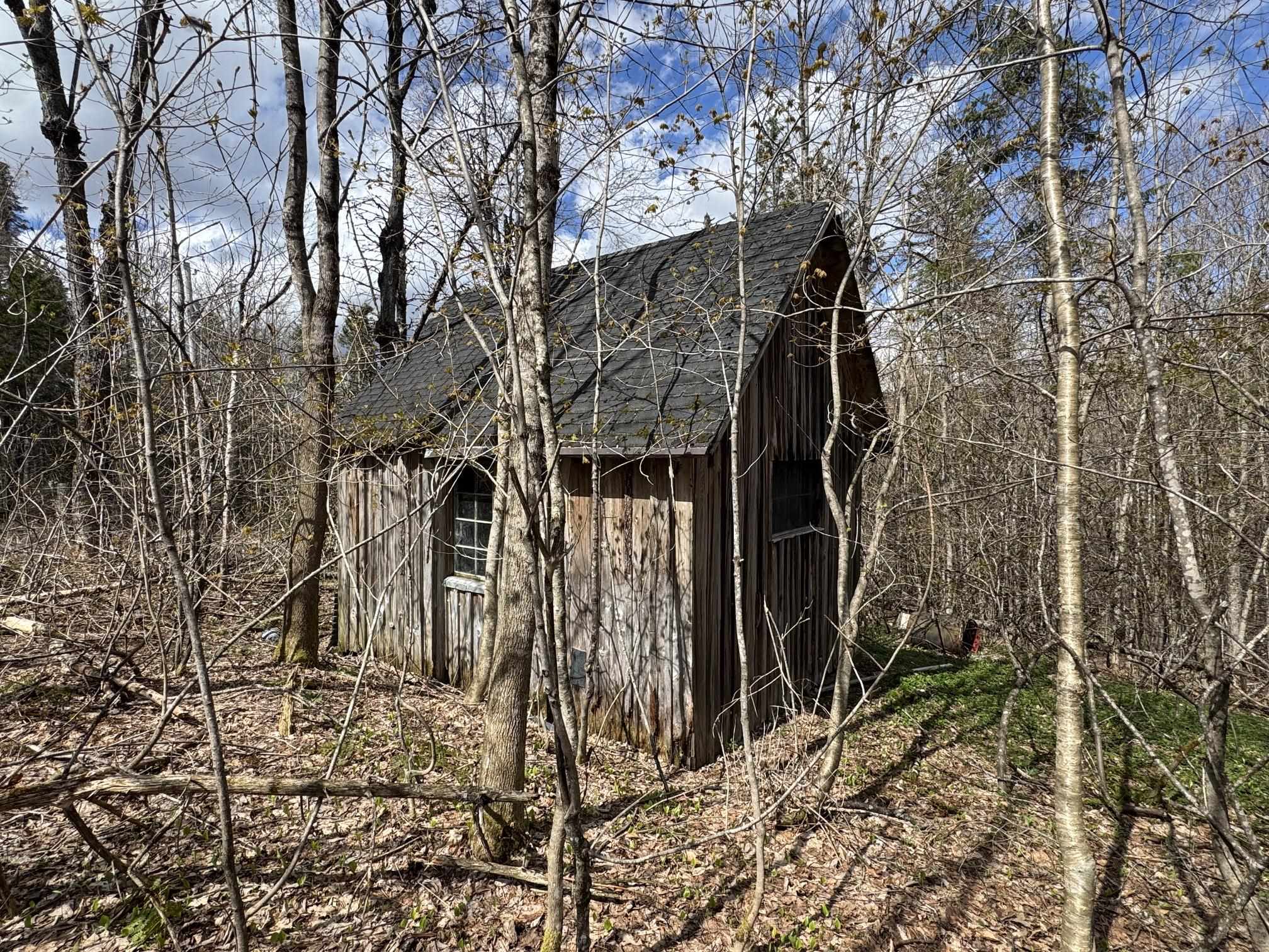 316 Last Road Cabot, VT 05647 - Photo 8 of 26