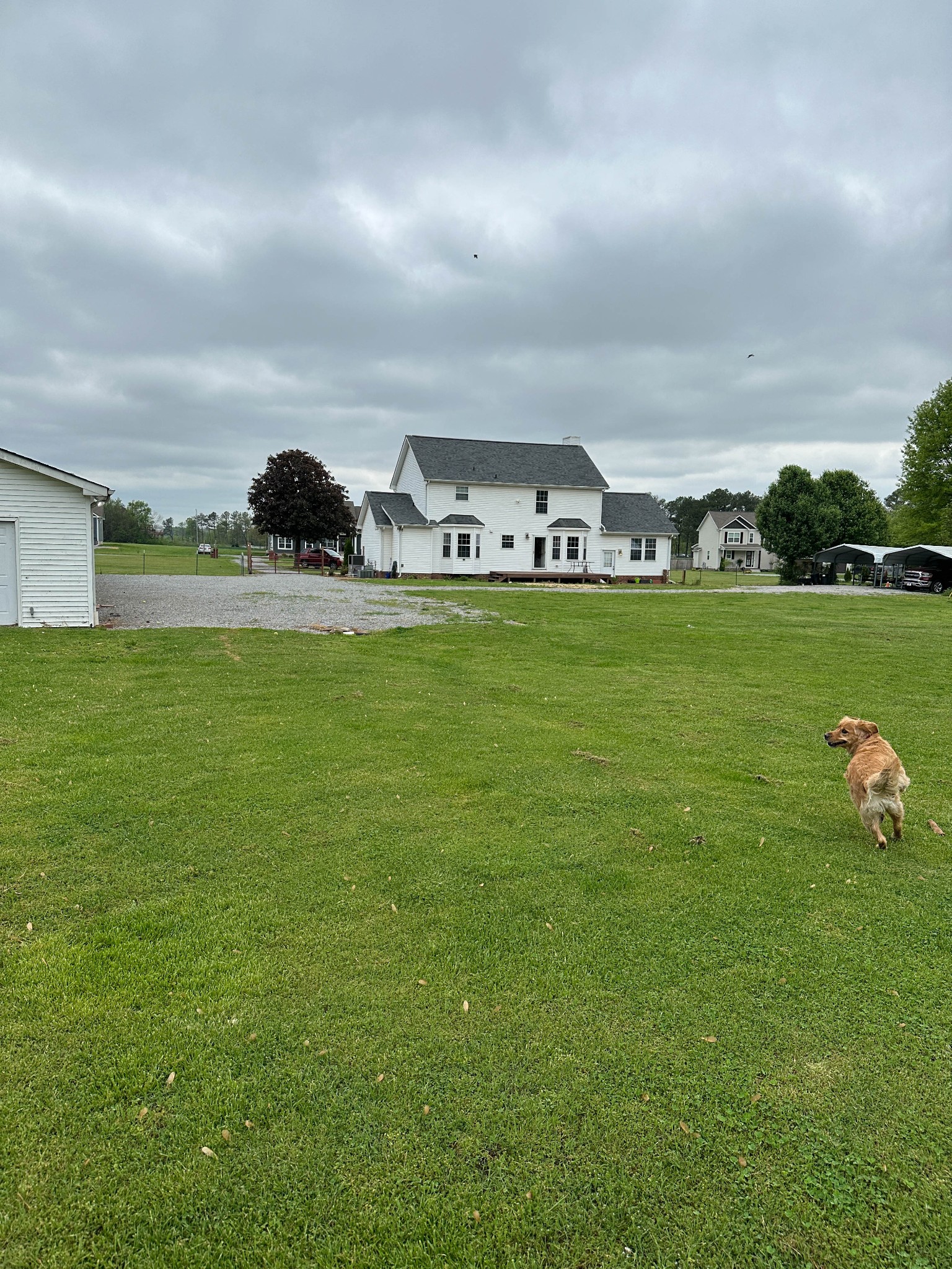 8624 Guthrie Road Cross Plains, TN 37049 - Photo 69 of 70 Gallery Image 69