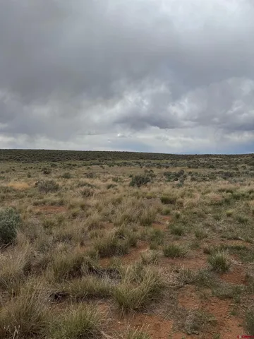 a view of an outdoor space and a yard