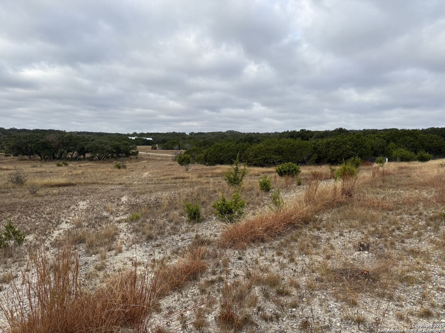 1629 Canyon Spring Branch, TX 78070 - Photo 7 of 14