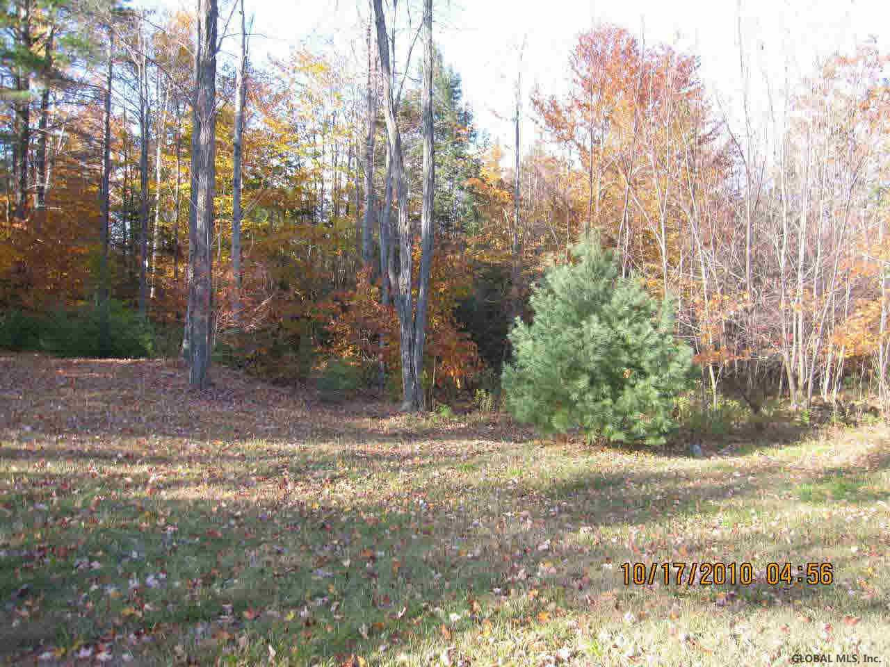 Barton Road Thurman, NY 12885 - Photo 5 of 6 Photo 5
